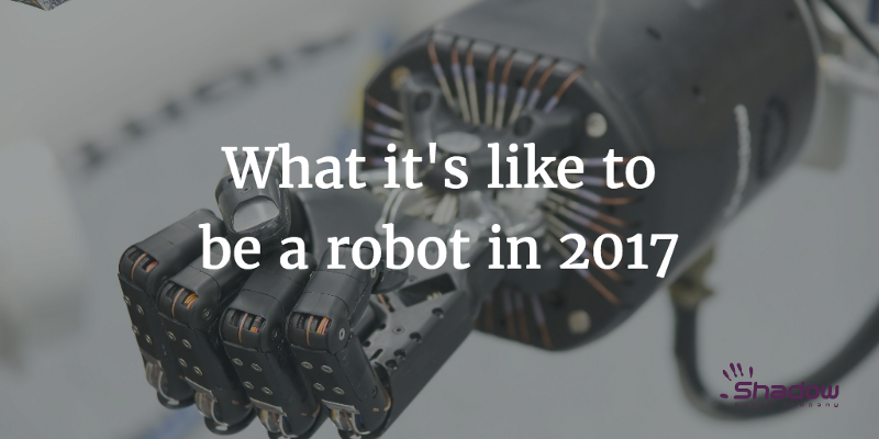 What it’s like to be a Robot in 2017