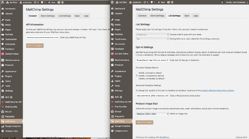 Screenshot of WordPress configuration settings for Mailchimp