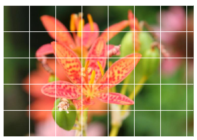 How to build an image classifier with greater than 97% accuracy
