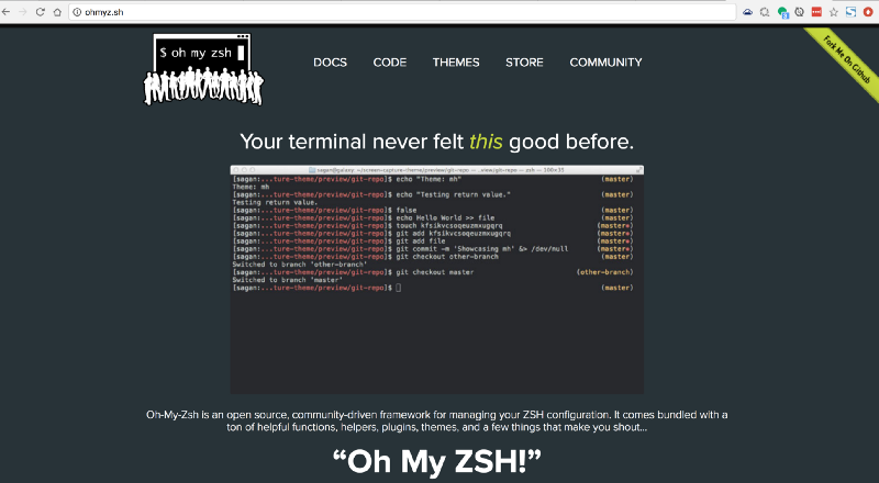 oh my zsh windows terminal