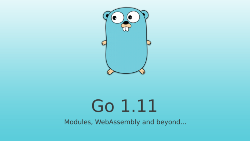 All you need to know about Go version 1.11