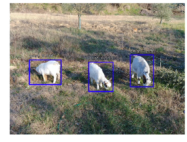 Object Detection in Colab with Fizyr Retinanet