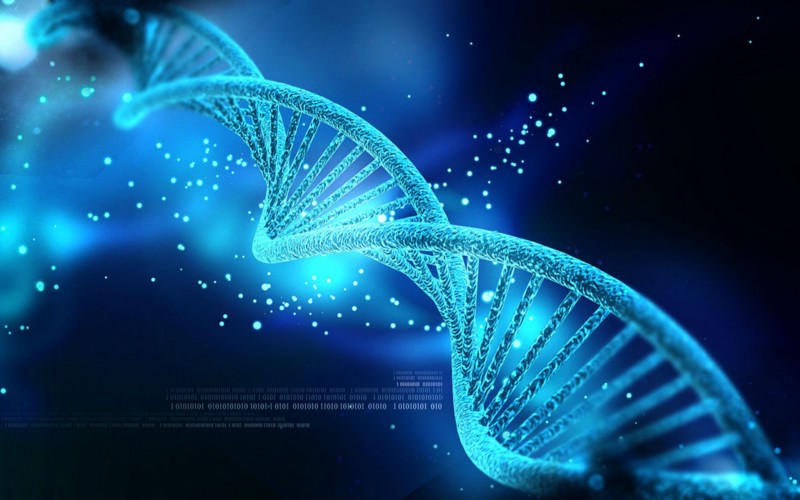 Programming the genome with CRISPR