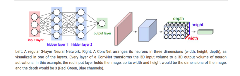 An Intuitive Guide To Convolutional Neural Networks